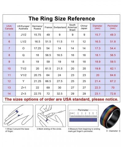 LGBT Pride Rainbow Fidget Rings, Stainless Steel/18K Gold Plated Love is Love Jewelry for Men Women Personalized Customize 03...