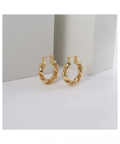 Twisted Chunky Hoop Earrings 14K Gold Plated Dainty Lightweight Hypoallergenic Open Hoops Earrings for Women Gift Gold twist ...