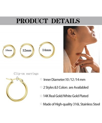 10 Pairs Small Hoop Earrings for Women Stainless Steel Gold Silver Black Hypoallergenic Hoop Earrings Tiny Hoop Earrings Set ...