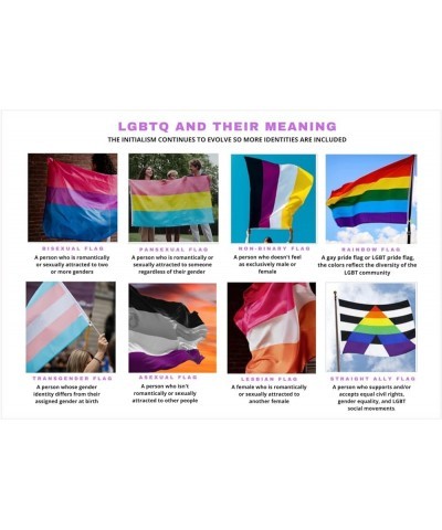 Lesbian Same Sex Female, Gay, Bisexual, Transgender, Queer, Pansexual, Straight Ally, Rainbow, Pride - Rectangle, Triangle, C...