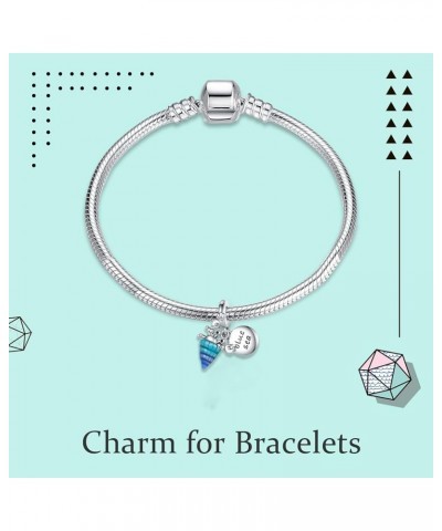 Love&Family Charm for Bracelets Pendant for Women's Bracelets Necklaces,Happy Birthday Mother's Day Jewelry Women Girls Gifts...