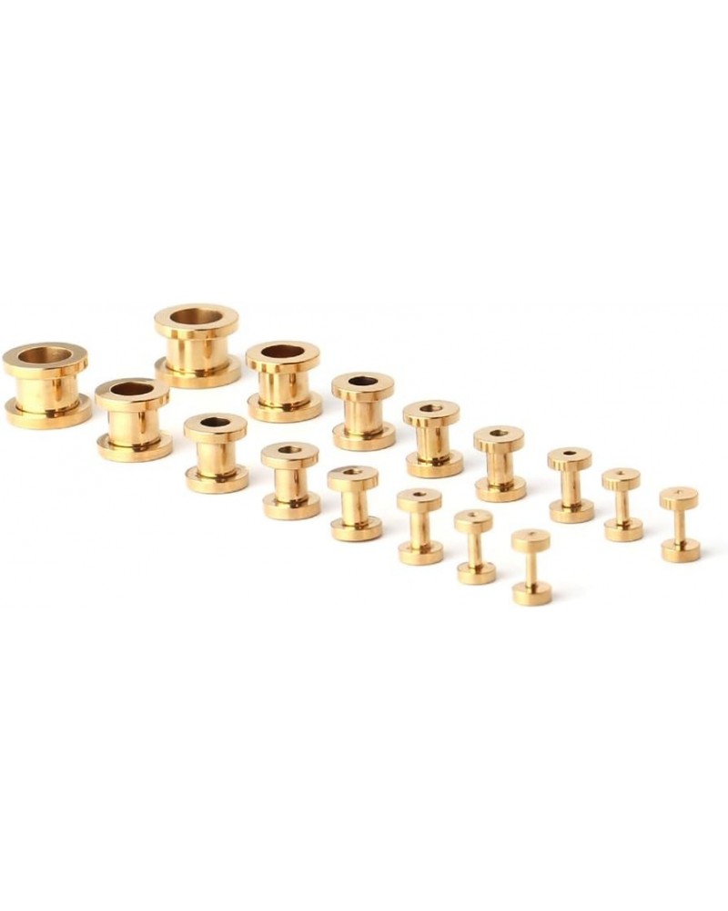 16pcs Surgical Steel Screw Tunnel Gauge Ear Expander Stretching Kit Plugs Piercing -8 Pairs 14g-00g (1.6mm-10mm) Gold $9.87 B...