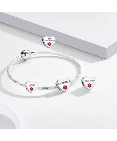 Heart Alert ID Silver Charm Emergency First Aid Laser Engraved Health Alert Bead for Pandora Bracelets PENICILLIN ALLERGY $8....