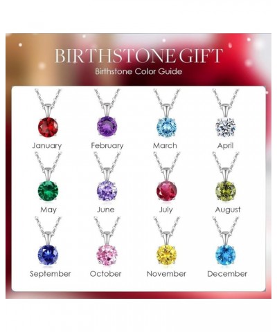 Birthstone Pendant Necklace for Women S925 Sterling Silver Created Gemstones Dainty Pendant Jewelry Birthday Gifts for Mother...