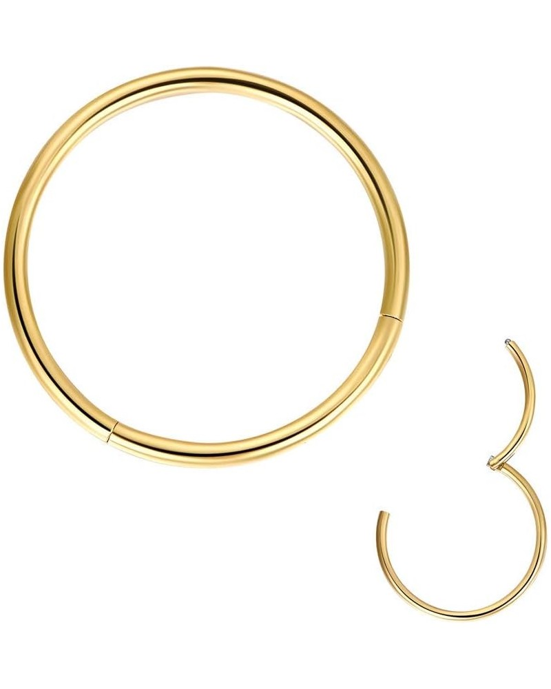 316L Surgical Steel Hinged Clicker Nose Rings Hoop 20G 18G 16G 14G Septum Rings Body Piercing Lip Rings 1pcs,Gold,16g,Diamete...