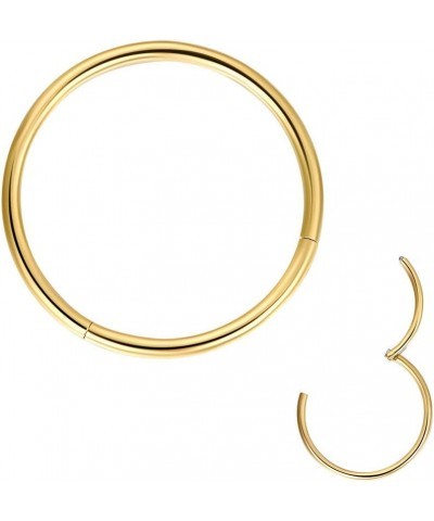 316L Surgical Steel Hinged Clicker Nose Rings Hoop 20G 18G 16G 14G Septum Rings Body Piercing Lip Rings 1pcs,Gold,16g,Diamete...