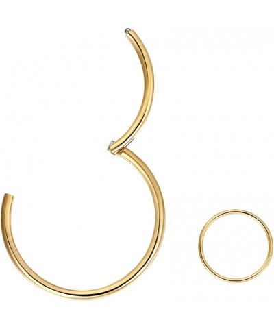 316L Surgical Steel Hinged Clicker Nose Rings Hoop 20G 18G 16G 14G Septum Rings Body Piercing Lip Rings 1pcs,Gold,16g,Diamete...