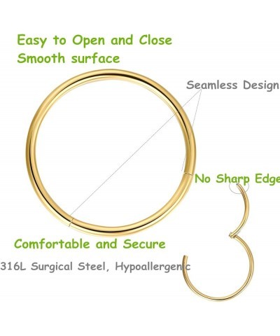 316L Surgical Steel Hinged Clicker Nose Rings Hoop 20G 18G 16G 14G Septum Rings Body Piercing Lip Rings 1pcs,Gold,16g,Diamete...