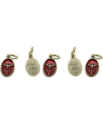 Lumen Mundi Red Enamel Holy Dove Pray for Us Medal Charm Pendant, Set of 5, 5/8 Inch … $6.92 Necklaces