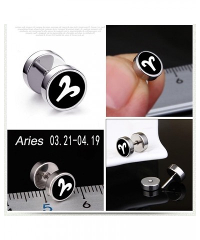 Earrings Studs Cute, Modern Earrings Zodiac Sign Stainless Steel Jewelry Sets for Women Aries $11.78 Earrings