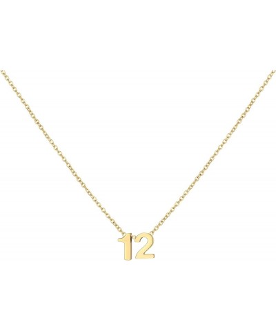 Gold Number Necklace for Women 18K Gold Plated Dainty Charm Birth Month Choker Necklace Personalized Jewelry Birthday Gift fo...