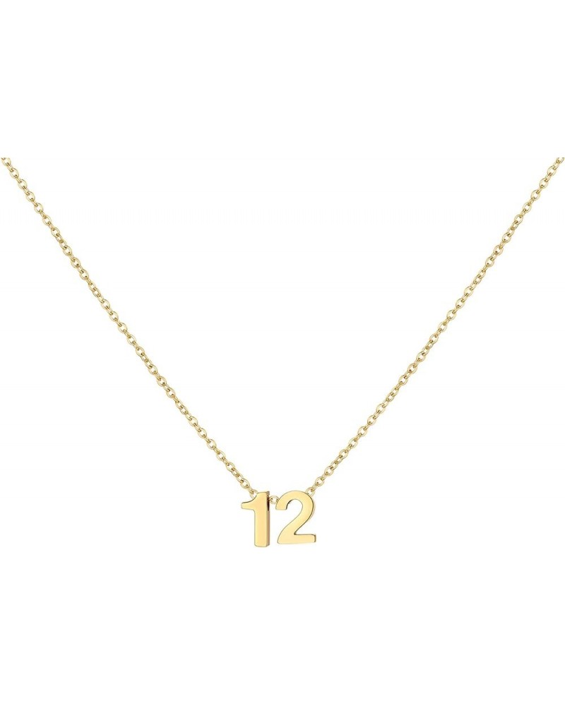 Gold Number Necklace for Women 18K Gold Plated Dainty Charm Birth Month Choker Necklace Personalized Jewelry Birthday Gift fo...